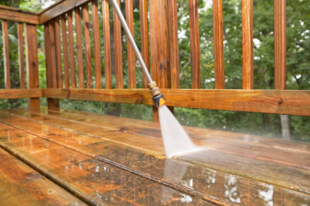 Best Dumpster Area Cleaning  in New Baltimore, MI